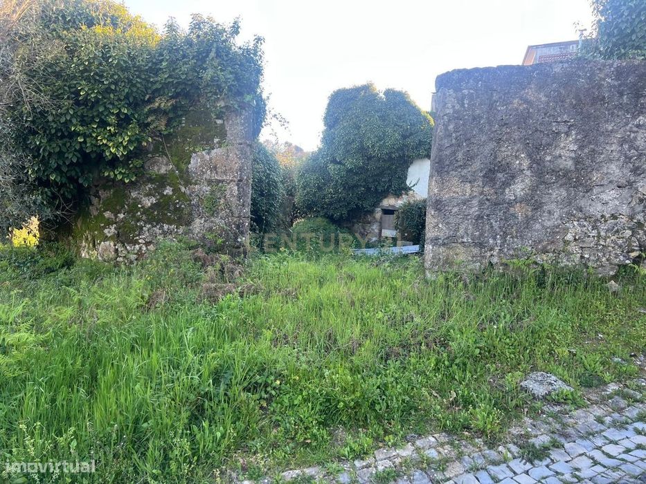 Unique Opportunity: Ruin in Figueiró dos Vinhos