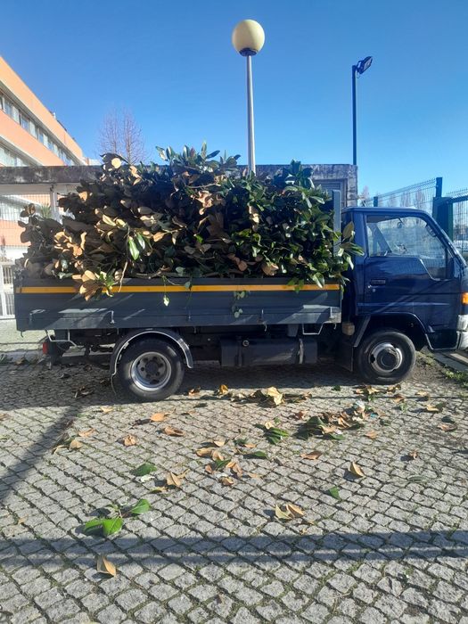 Faço cargas de emtulho madeiras pladur papelão moveis