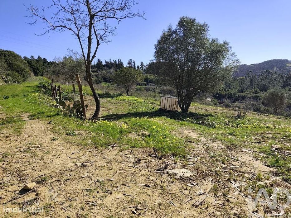 Terreno Agrícola em Mafra