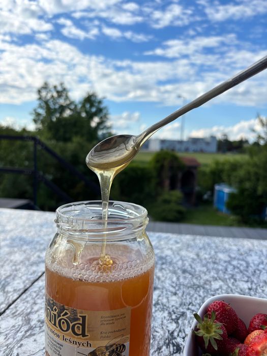 Miód naturalny z pasieki leśnej