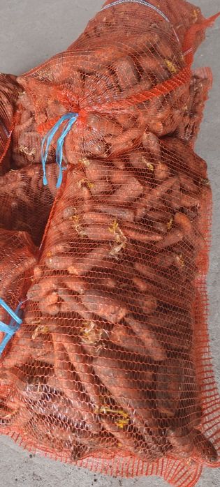 Sprzedam marchew 25 kg 15 zł
