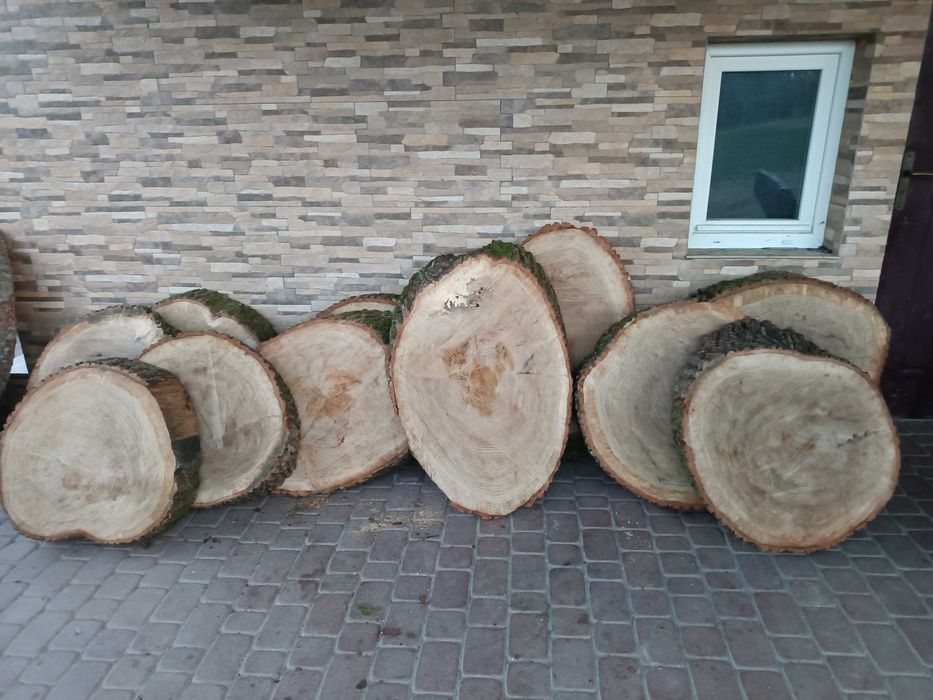 Sprzedam plastry dębowe