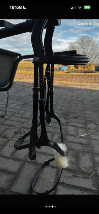 Ogłowie meksykańskie Dyon