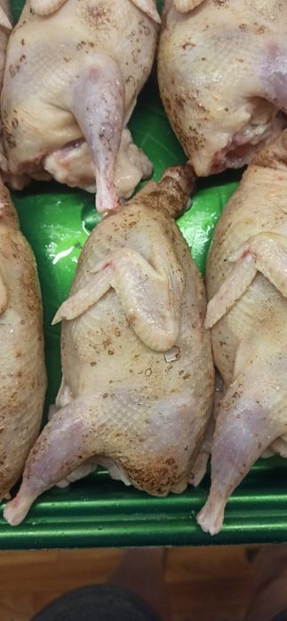 Тушки перепілки.