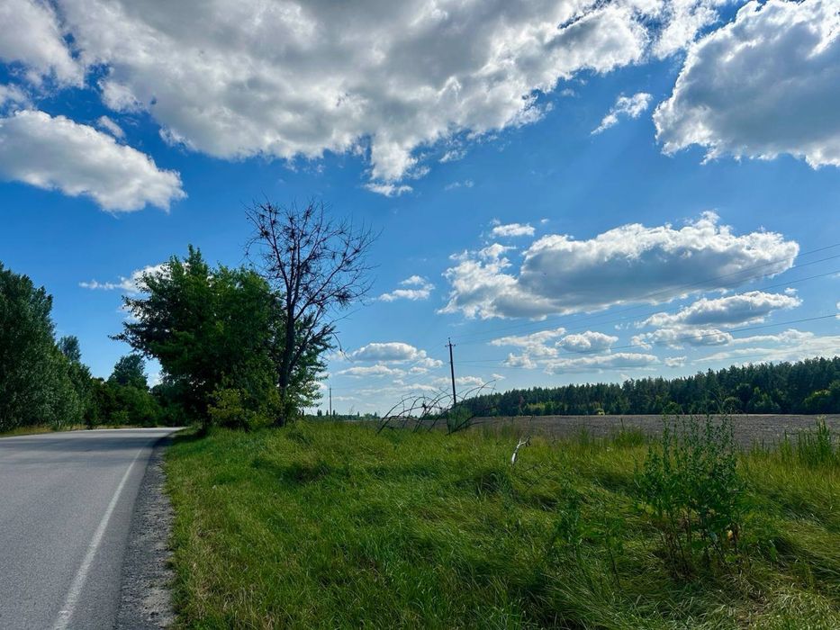 БЕЗ КОМІСІЇ, 3 діялянки, загальга площа 14,5 га, на Житомирській трасі