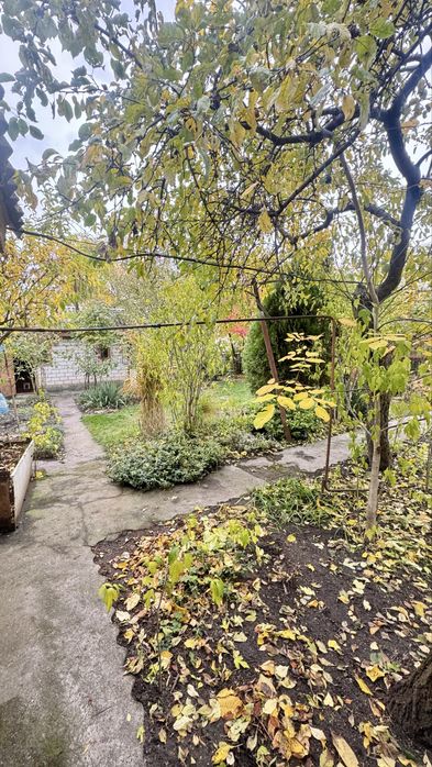 Дача коло Дніпра