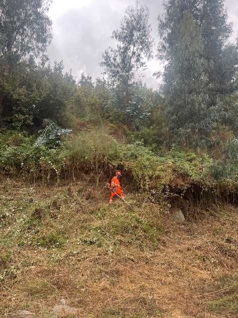 Limpezas de terrenos / desmatação e jardinagem