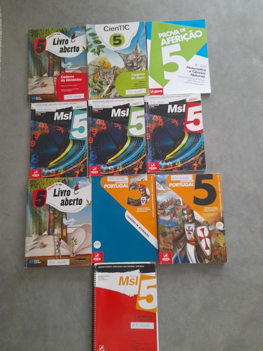 Livros 5º ano da escolaridade obrigatória