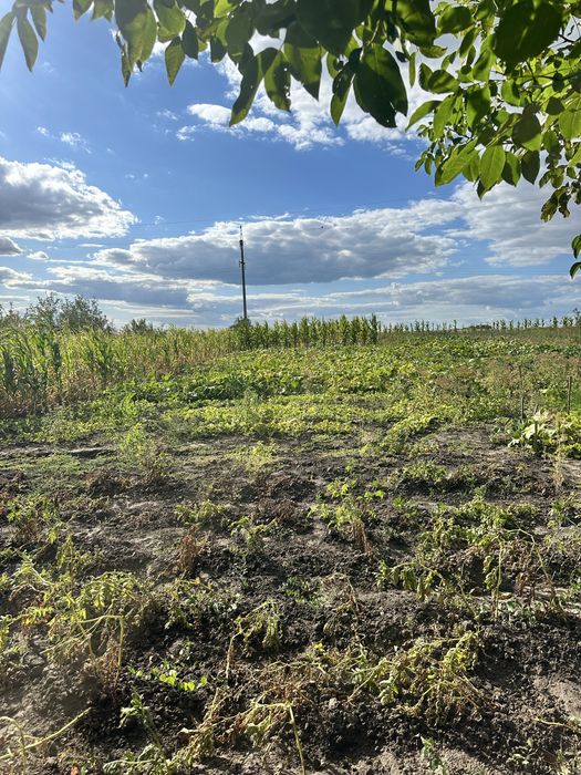 Продаж будинку в Трушках