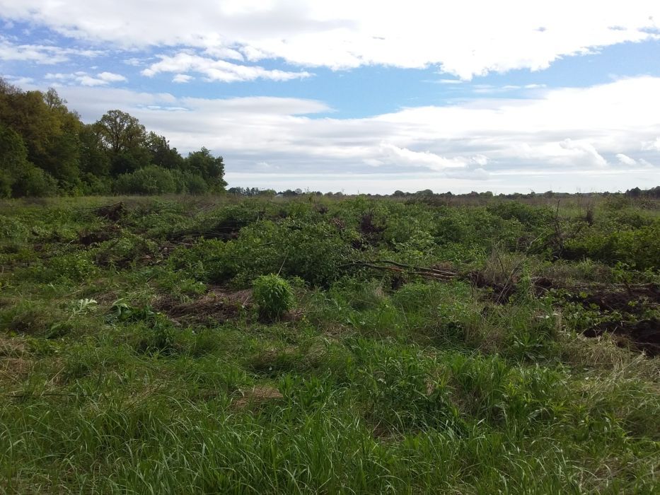 Послуги з  розчищення  ділянок,корчування пнів.