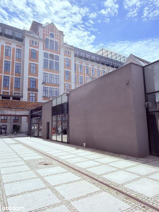 Wynajmę lokal biurowo/usługowo-handlowy o pow. 54,70m2