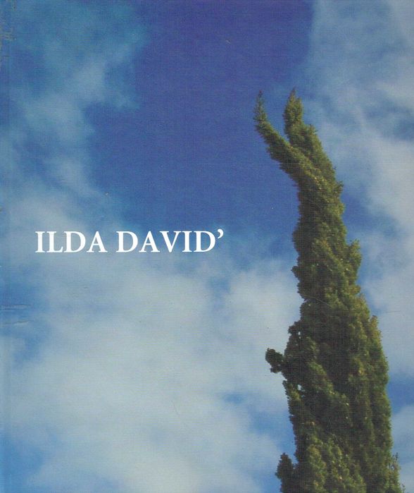 15959  Camarupa Ilda David