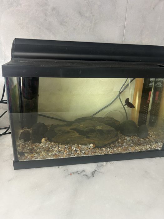 Aquario com todos os  acessorios para peixes tropicais