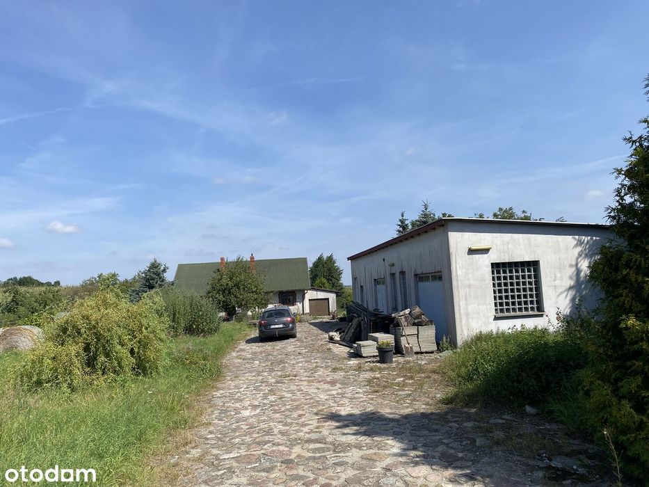 urocze siedlisko 40 km od Bydgoszczy