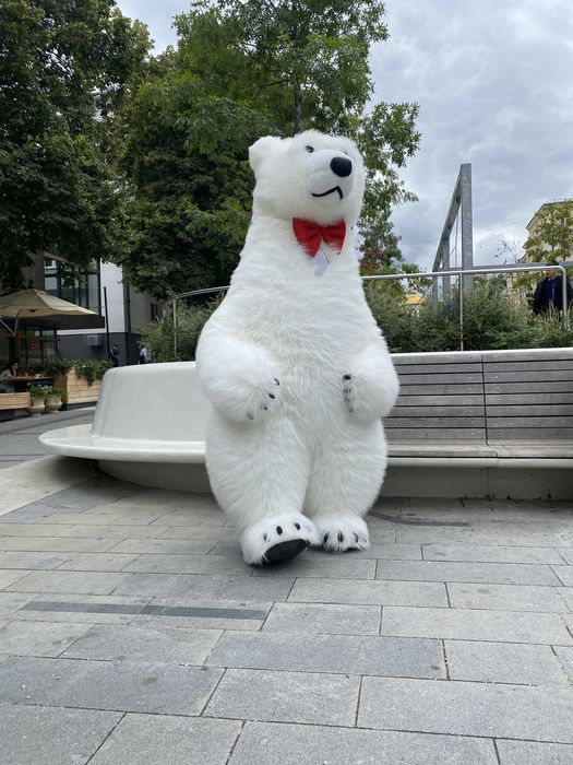 Поздравления от Белого Медведя. Привітання. Ведмедик. Білий ведмедик.