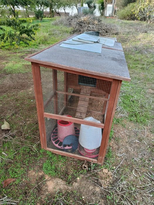 Galinheiro de madeira