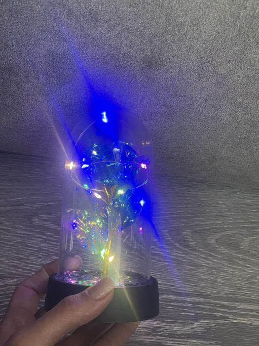 Розы в колбе. Вечная роза! Подарок. Роза