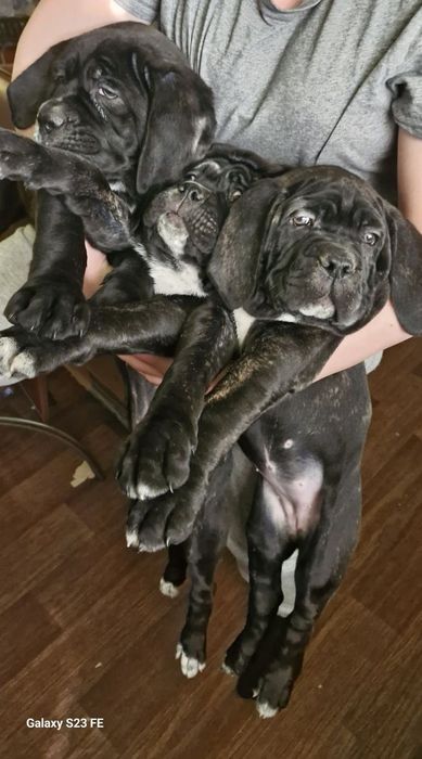 Готовы к переезду.