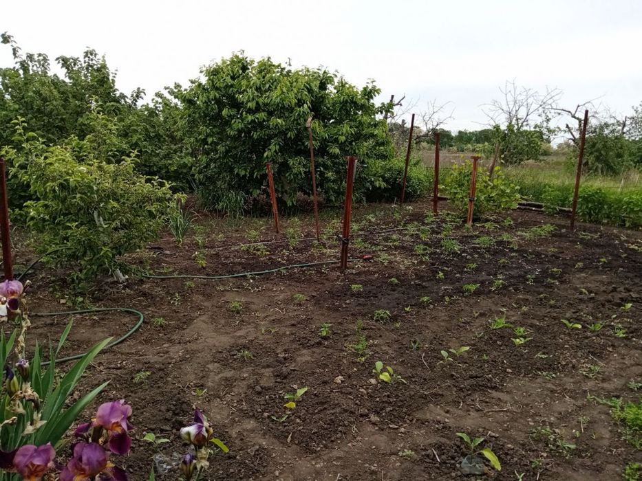 Продам дом в хорошем состоянии