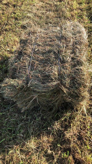 Sprzedam Siano Kostka