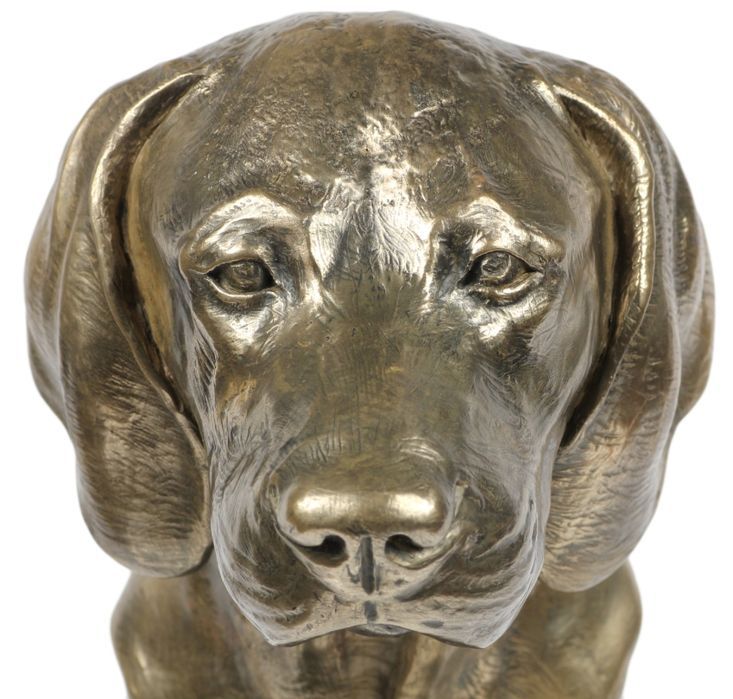 Wyżeł weimarski głowa na kamieniu Art-Dog