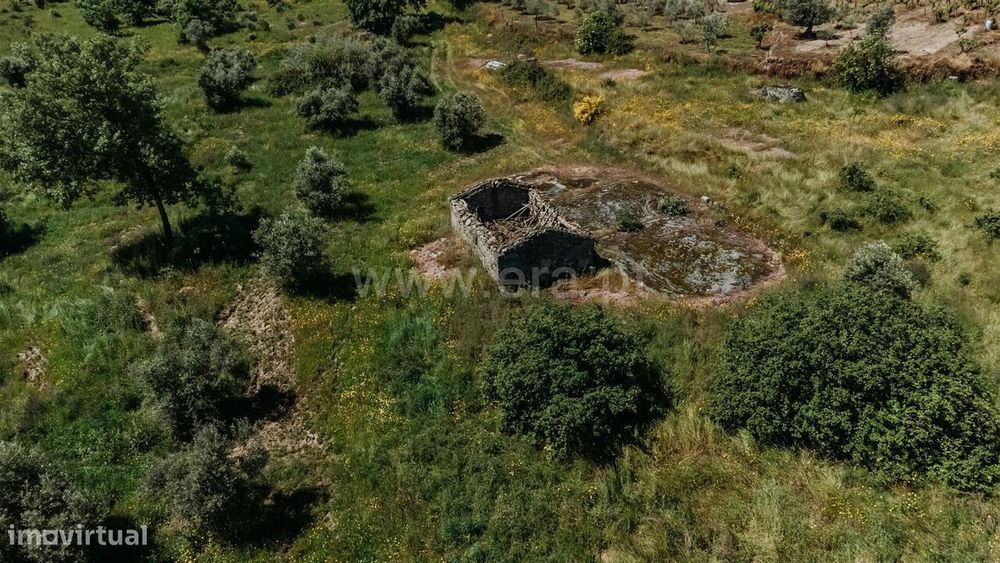 Quinta / Covilhã, Peraboa — Caria, Castelo Branco