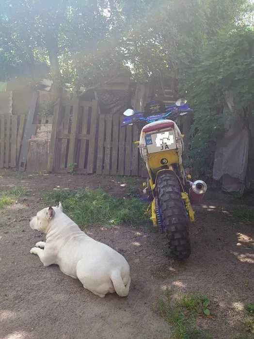 Продам YAMAHA TDM 850  Переоформлення! 1999р.