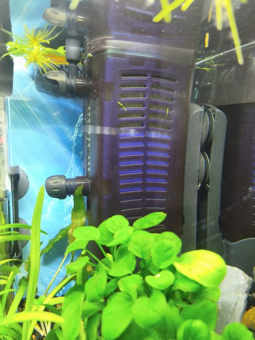 Vendo filtro fluval u2