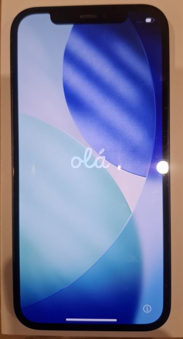 Iphone 12-bardzo dobry stan, zadbany