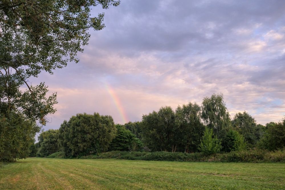 2 200 m² z WZ – możliwość budowy 1 lub kilku domów | zielona okolica