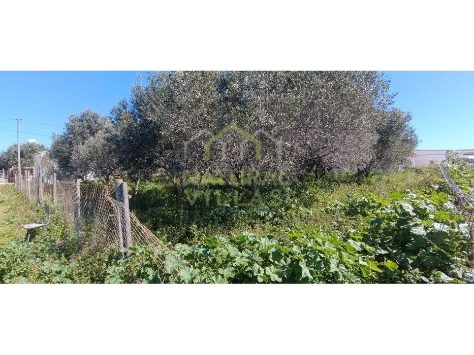 Terreno de 1.958m2 para arrendamento em Conceição, Faro