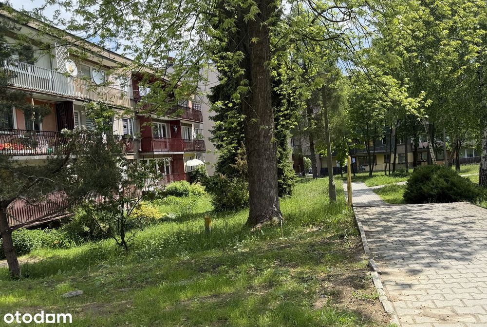 MIESZKANIE 48,34m2 II piętro 2 pokojowe