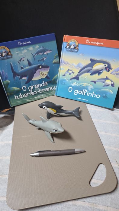 Livros com figuras