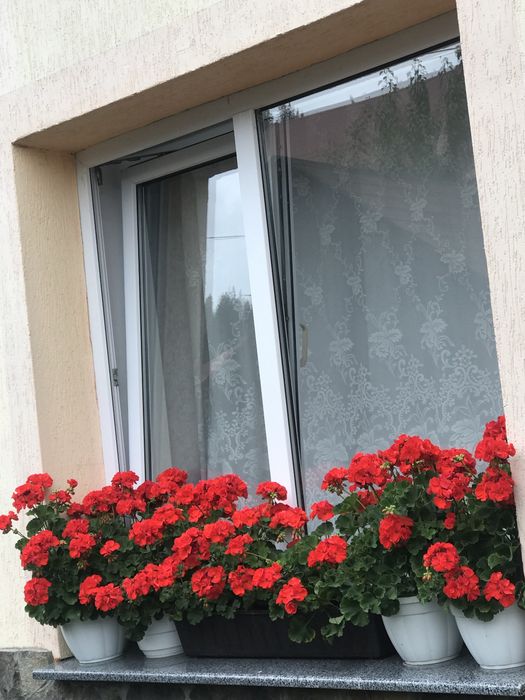 Відпочинок в Карпатах (смт.Славсько)