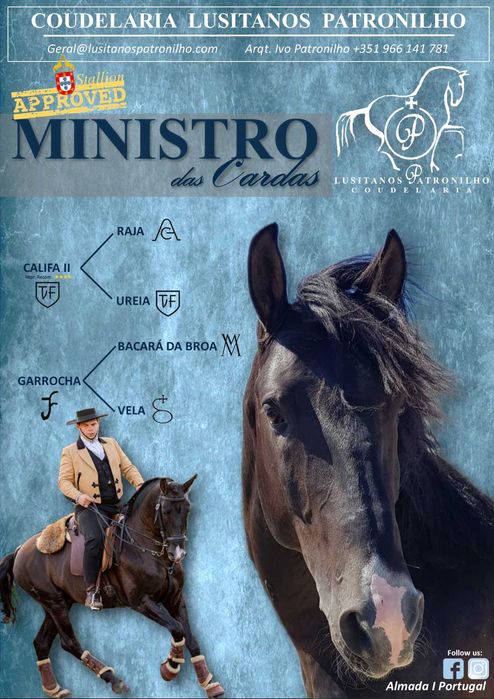 Cobrição - Garanhão PSL Aprovado