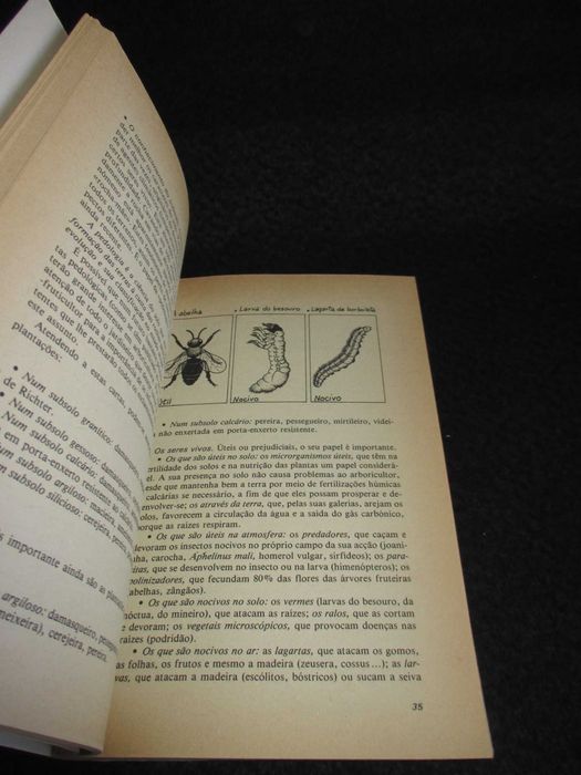 Livro As Árvores de Fruto Louis Giordano