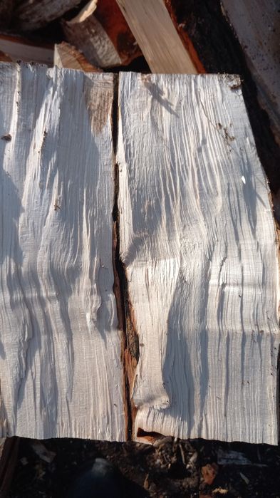 Drewno kominkowe i opałowe liściaste