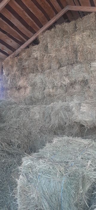 Продам сіно в тюках