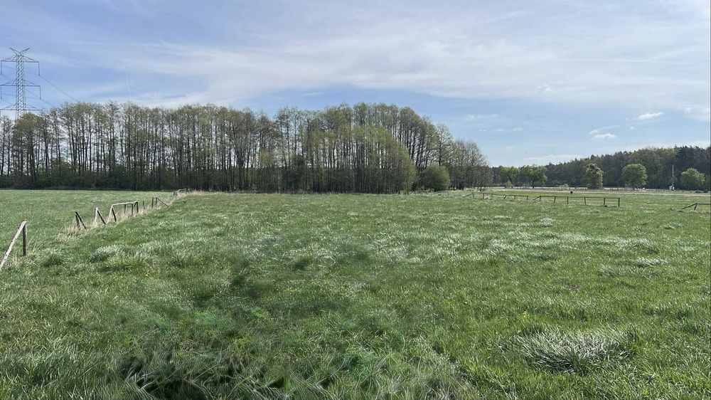 Sprzedam dziełke z lasem budowlano-rolna - View 3