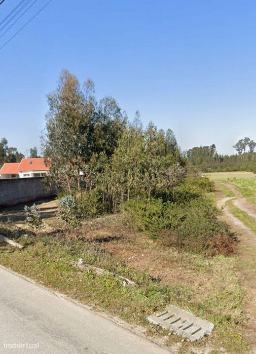 Terreno Rústico Novo em Vagos, Aveiro
