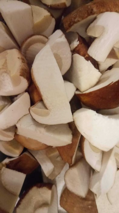 Cogumelos silvestres (boletos) prontos a cozinhar