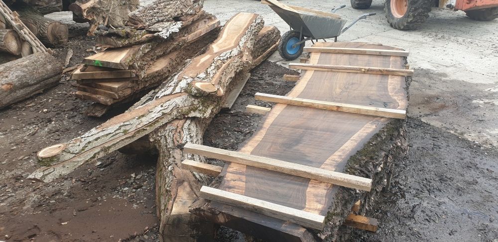 Orzech włoski drzewo stół drewniany monolit deska drzewo walnut loft