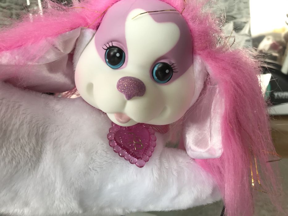 Psia mama ze szczenietami