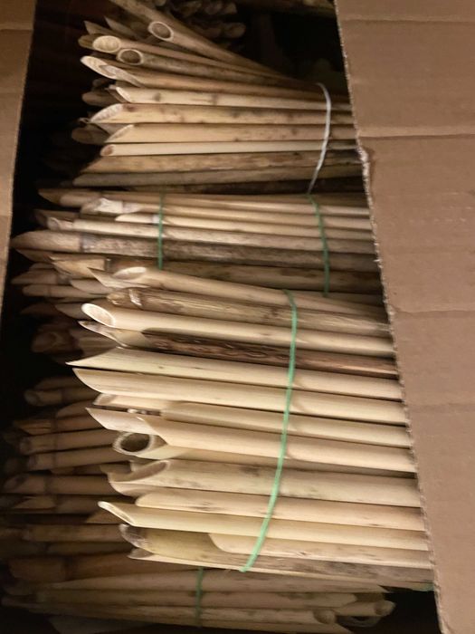 Rurki trzcinowe dla murarki ogrodowej 25-30cm - 300szt