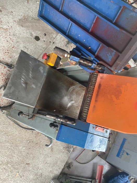 grubościówka nie piła