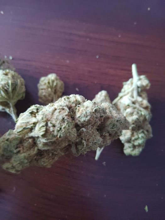 Royal Kush CBD 5g  Klasa Premium Legalny