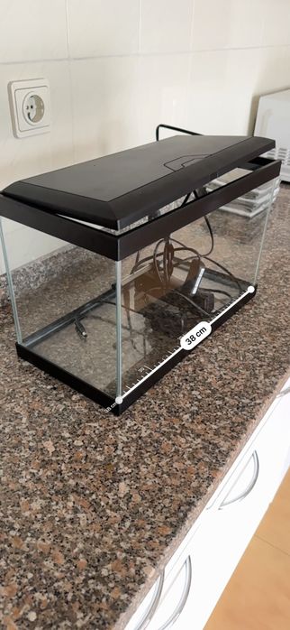 Aquário de peixes