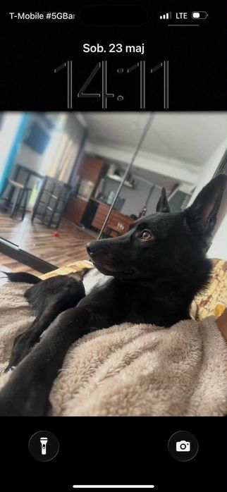 Rocky potrzebuje Ciebie