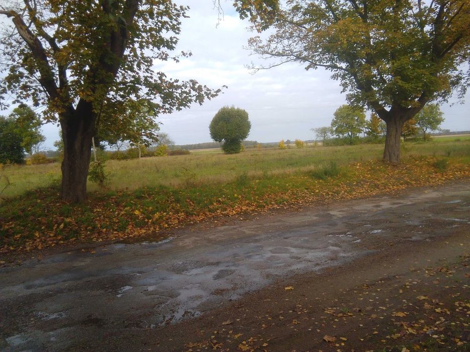 Działki budowlane Barlinek / Mostkowo