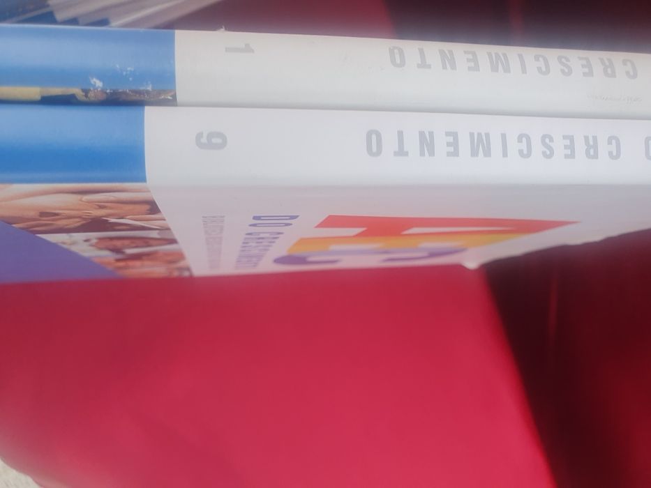 Conjunto de livros